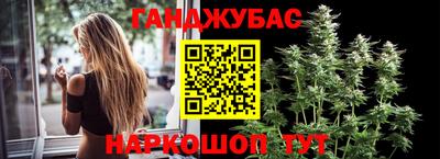 стафф Пенза