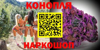 стафф Пенза