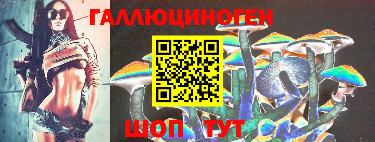 Псилоцибиновые грибы Magic Shrooms Новокубанск