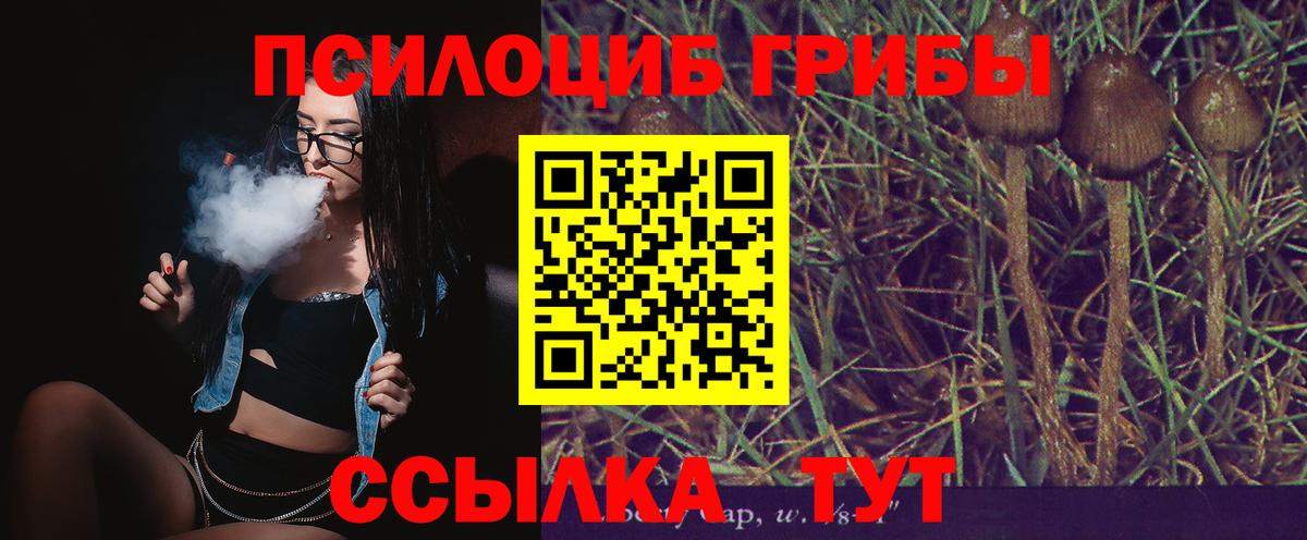 Псилоцибиновые грибы мухоморы  Галлюциногенные грибы мицелий  Вход с VPN  Новокубанск 