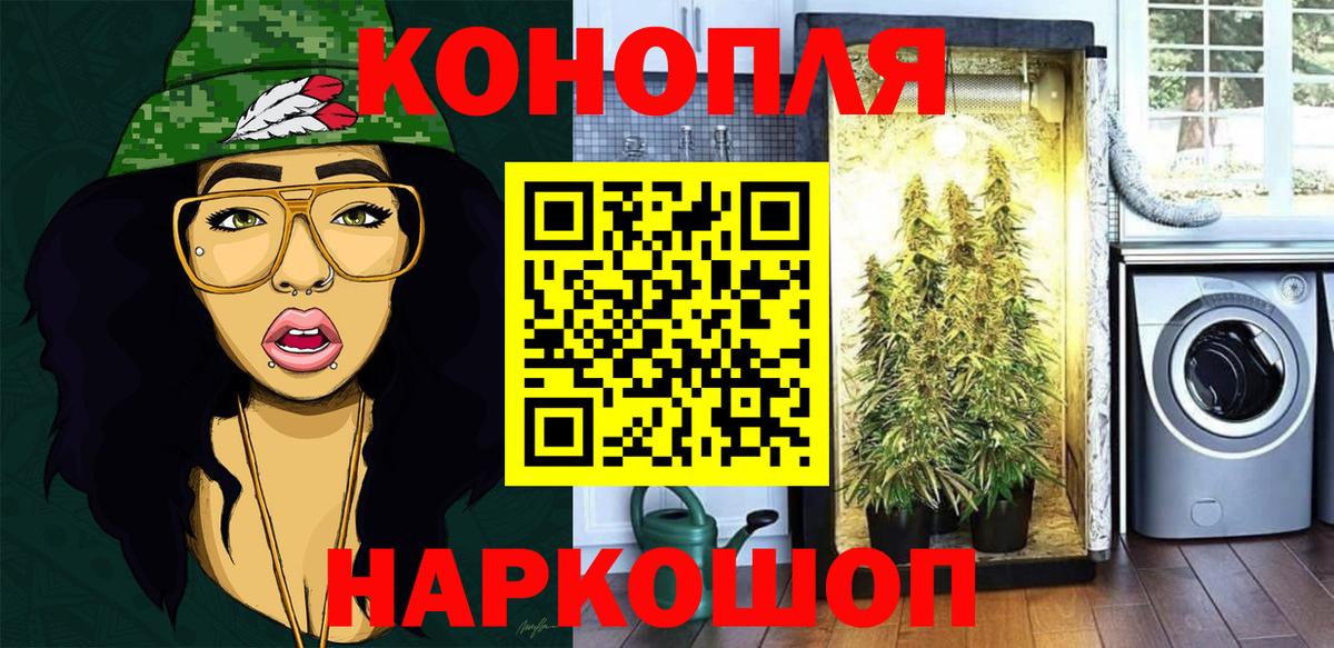 Бошки марихуана конопля  Канабис тримм  Канабис AK-47  Канабис SATIVA & INDICA  Вход с VPN  Новокубанск 